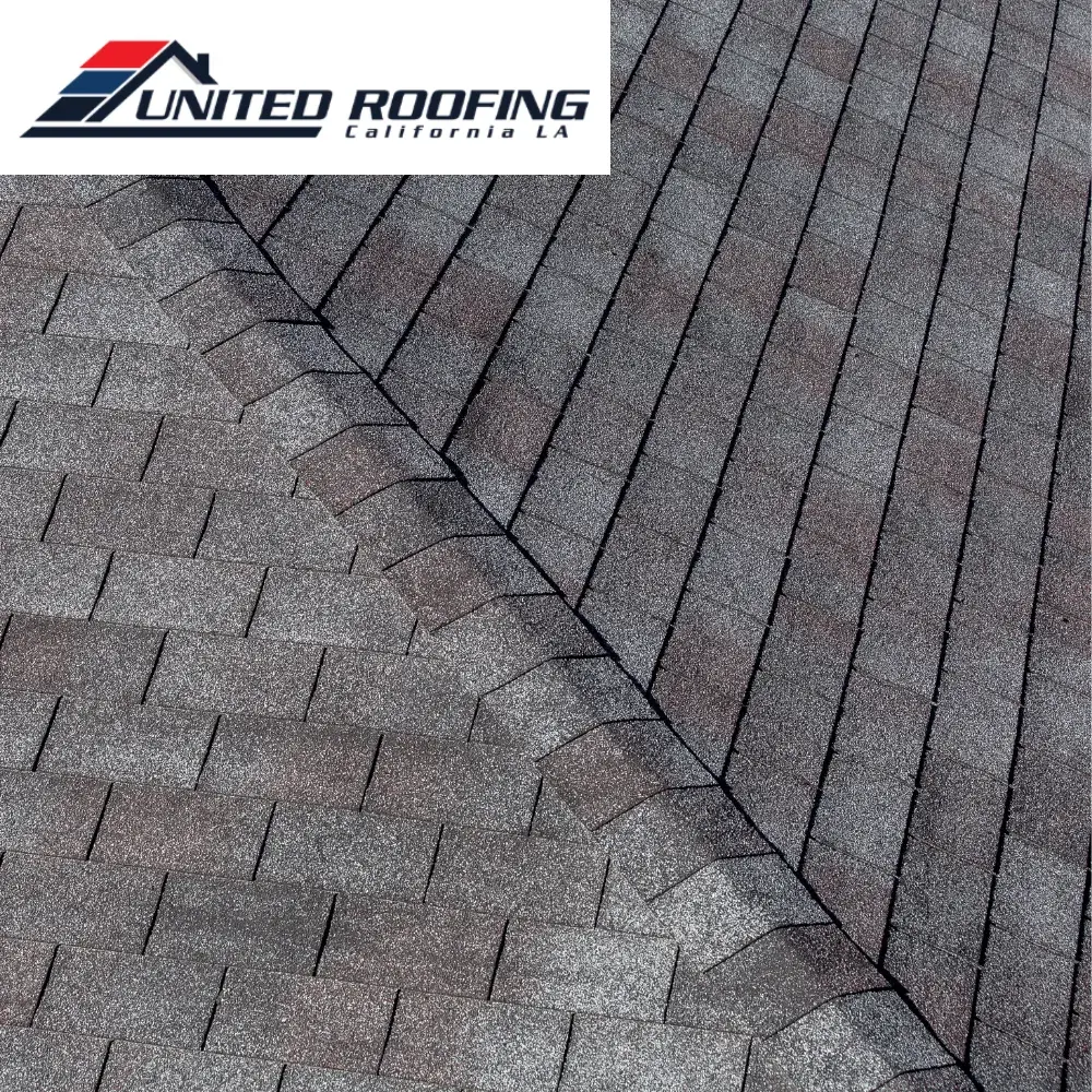 commercial roofing (2)