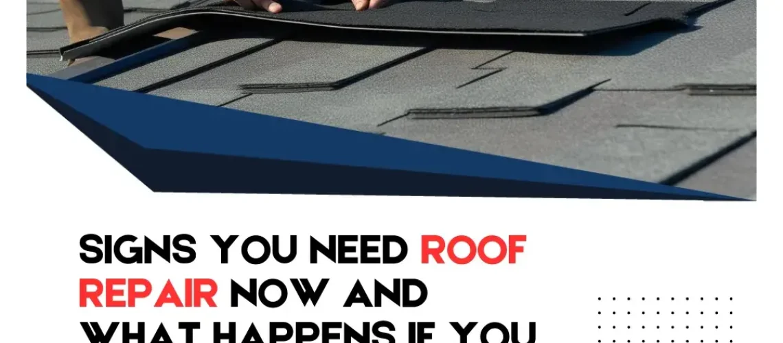 Signs You Need Roof Repair Now and What Happens If You Wait
